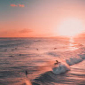 Meet your Posher, Darwin